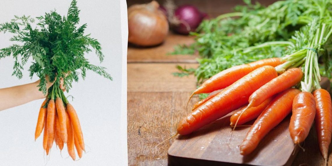 Тільки один спосіб допоможе зберегти моркву свіжою до 10 днів: у чому він полягає
