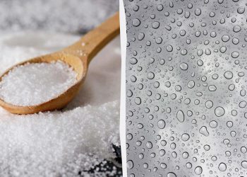 Вікна більше не будуть “плакати”: що поставити на підвіконня